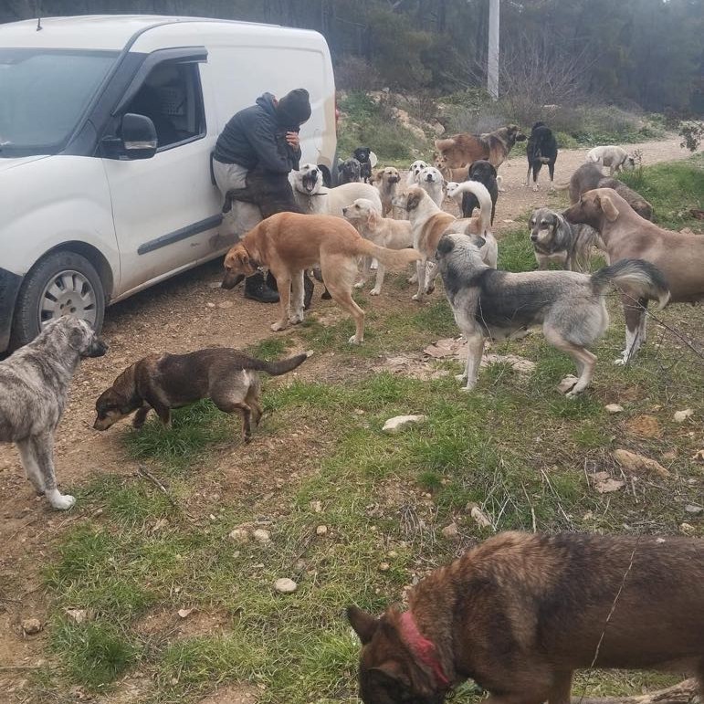 Bei Hatice gibt es kein Sonntag oder Feiertag geschweige Urlaub.