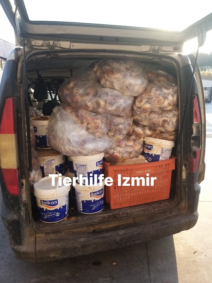 So sieht es aus wenn Hatice Brot und Reste Essen aus der Großkantine holt.