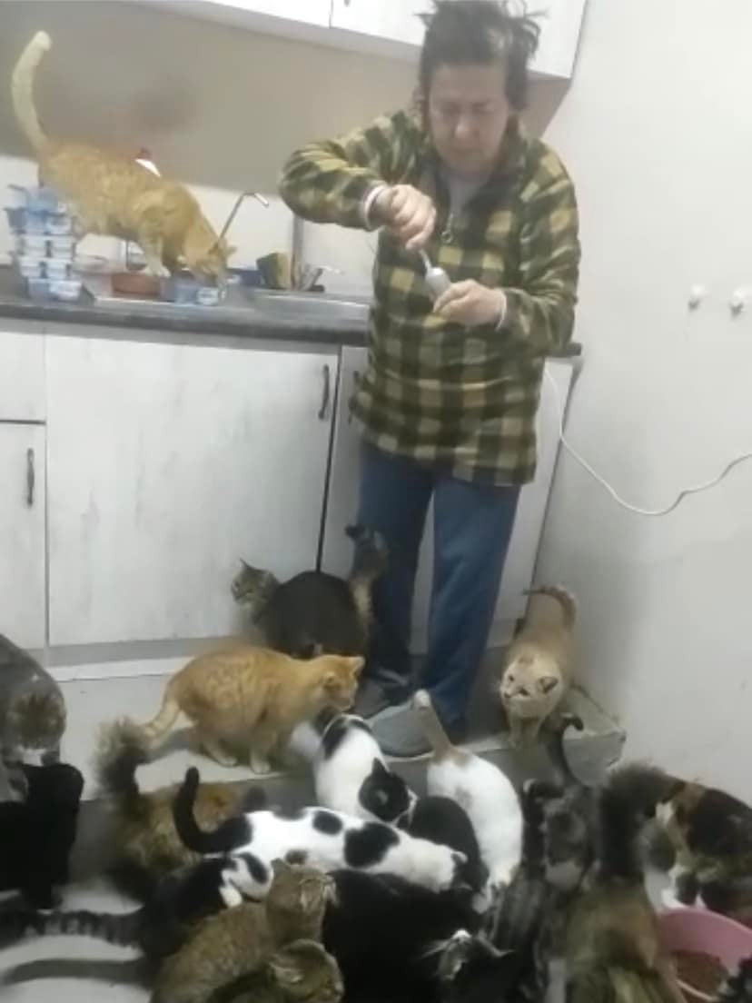 Meltem beim anrichten der Medikamente für die kranken Katzen.