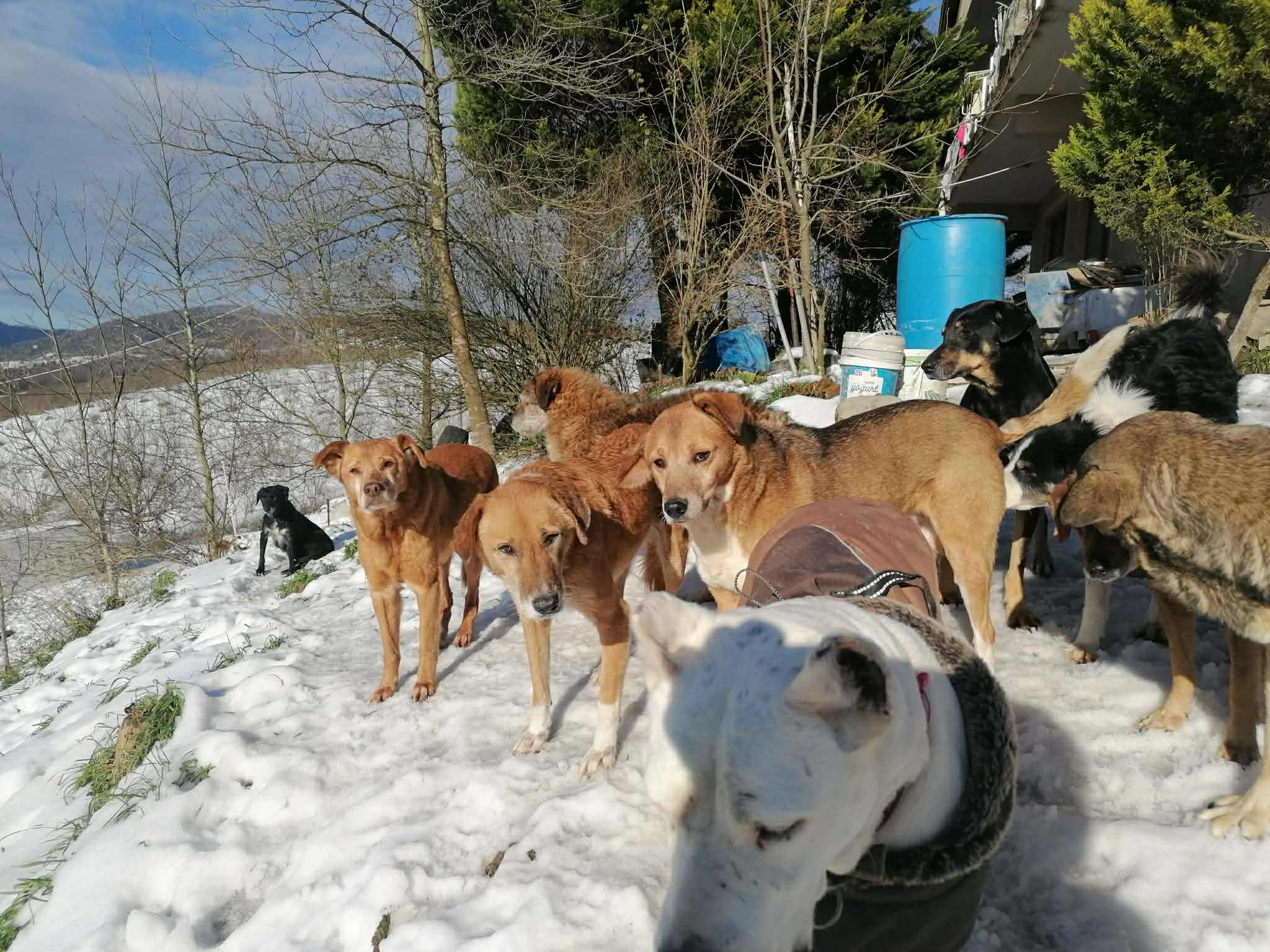 der Winter in Zonguldak ist immer sehr kalt.